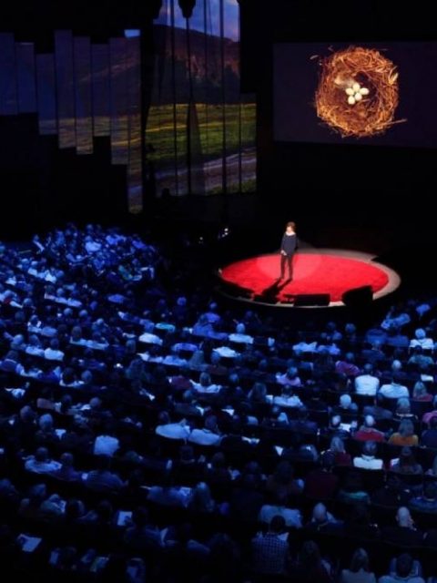TED Talks Every Designer Should Watch ted talks TED Talks Every Designer Should Watch TED Talks Every Designer Should Watch cover 480x640  Homepage TED Talks Every Designer Should Watch cover 480x640