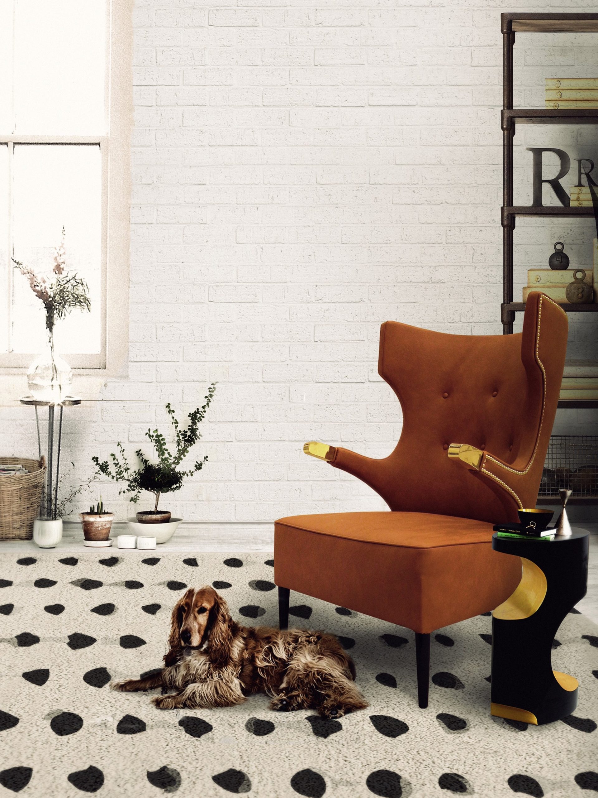 5 Commonly Asked Questions About Modern Rugs 5 Commonly Asked Questions About Modern Rugs 1 scaled