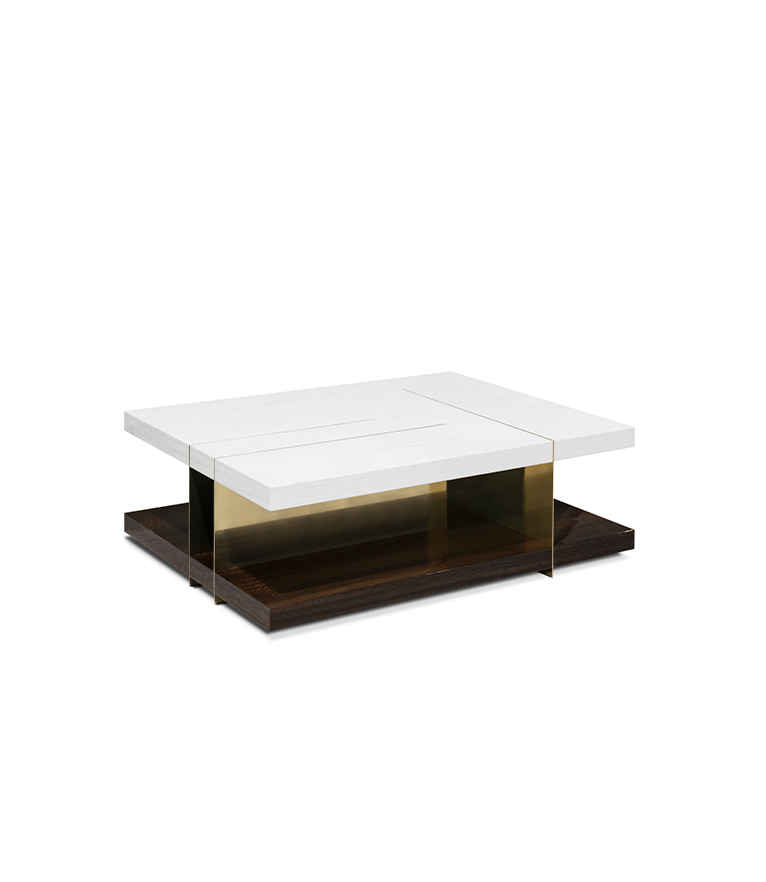 Lallan Wood Rectangular Coffee Table with Black Lacquer and Brass Details - Home'Society