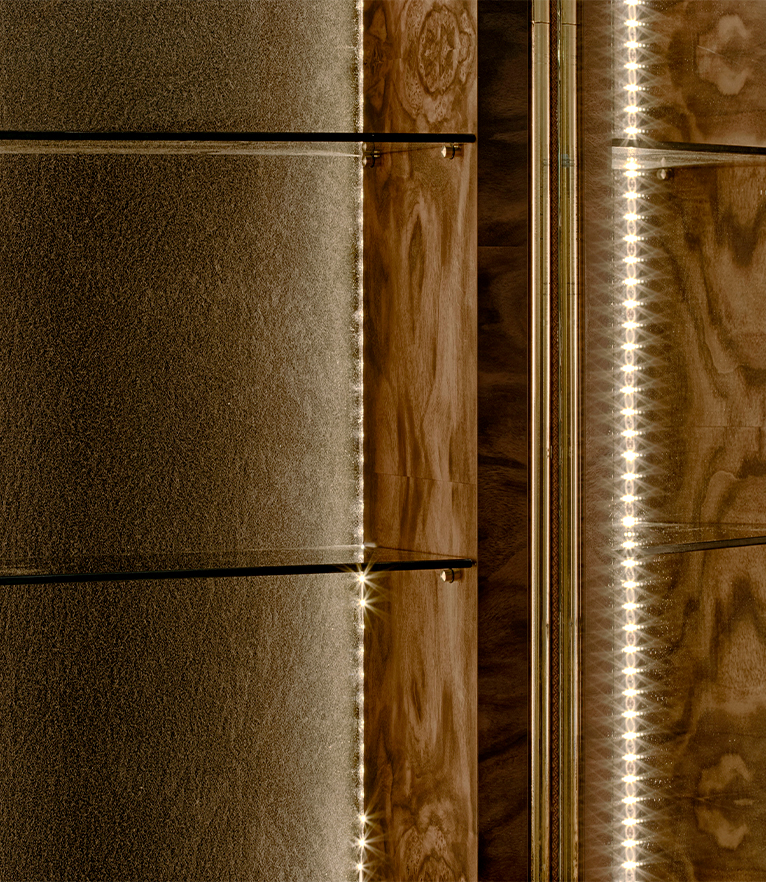 Colosseum Display Case: With LED Strips and Glass Shelves Tall Storage - Home'Society