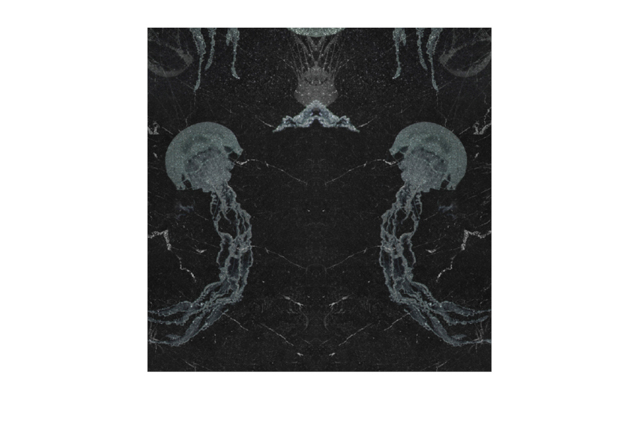 Abism Jellyfish Black and White Surface with Underwater Design Motif