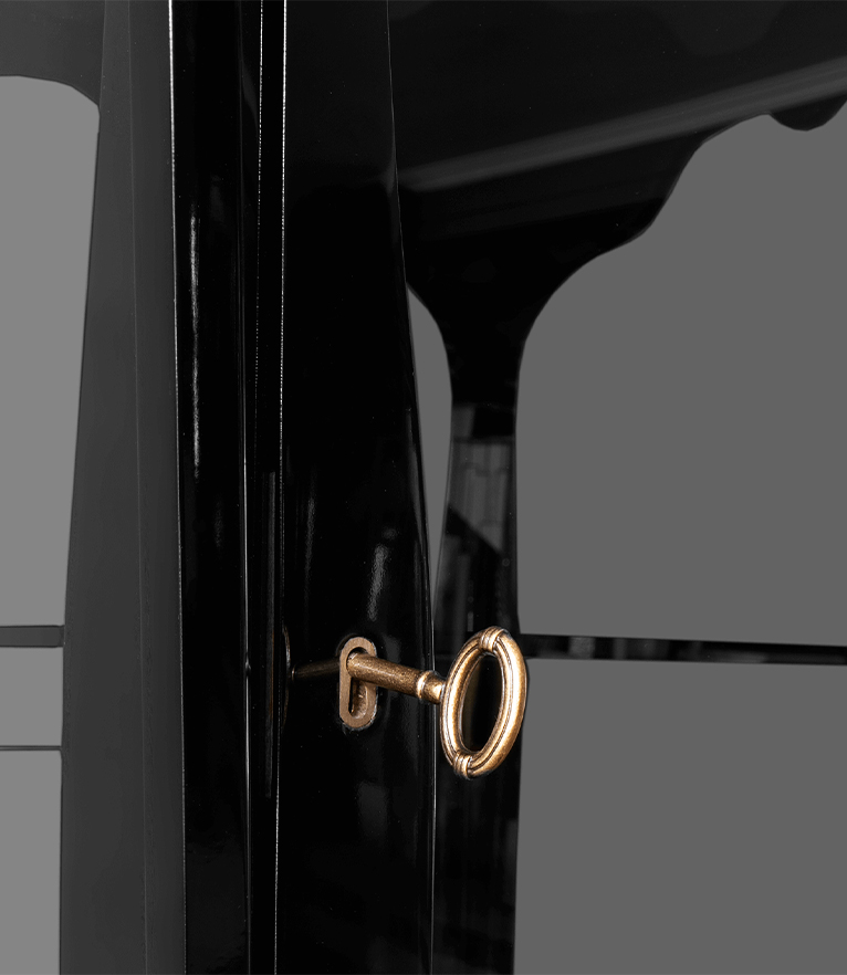 Platino Display Case - Elegant Luxury Showcase with Refined Details - Home'Society