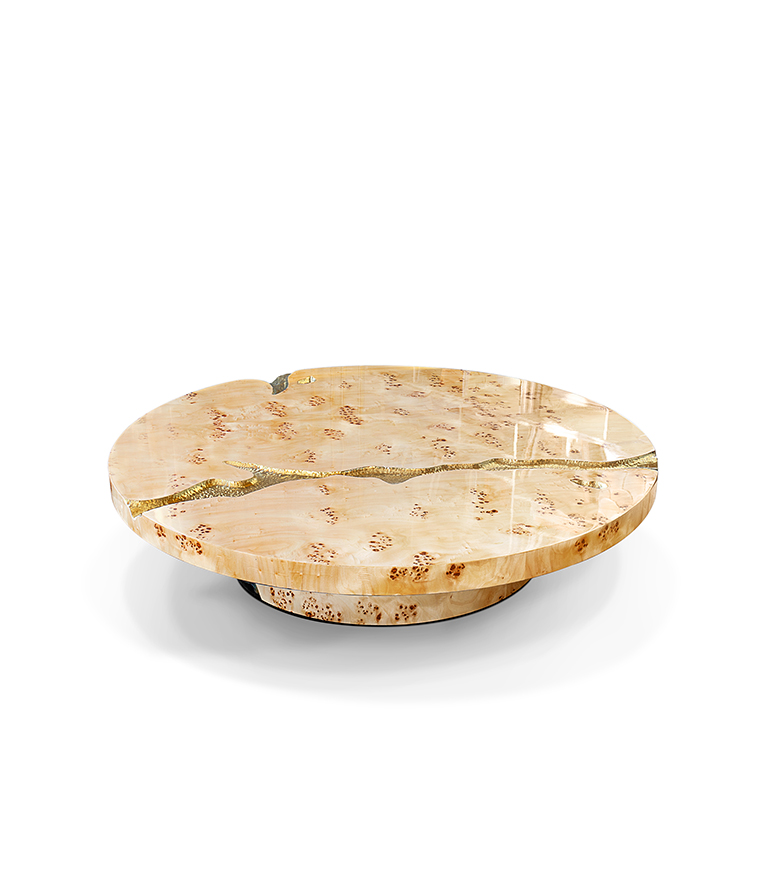 Empire Poplar Root Coffee Table - With Hammered Brass Details For A Modern Decor - Home'Society