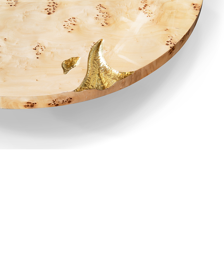 Empire Poplar Root Coffee Table - With Hammered Brass Details For A Modern Decor - Home'Society